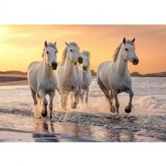 Puzzle 500 pièces XL : Chevaux en Camargue