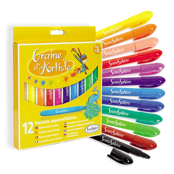 Pochette de 12 crayons Graine d'Artiste : Pastels aquarellables - Sentosphere-9303