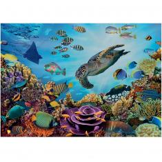 Puzzle 500 piezas XL : Fondo marino