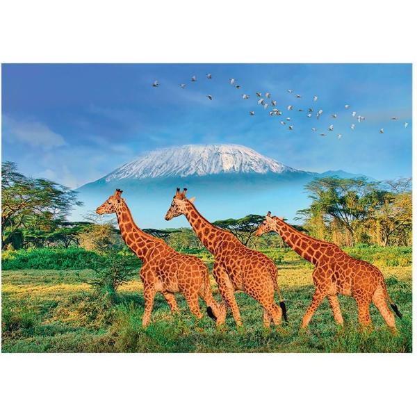 Puzzle 500 piezas XL : Jirafas al pie del Kilimanjaro - Sentosphere-7304