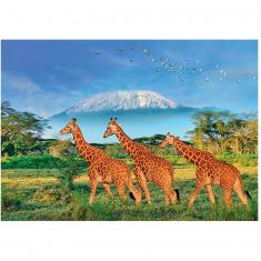 500 piece XL puzzle: Giraffes at the foot of Kilimanjaro
