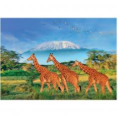 Puzzle XL de 500 piezas: Jirafas al pie del Kilimanjaro