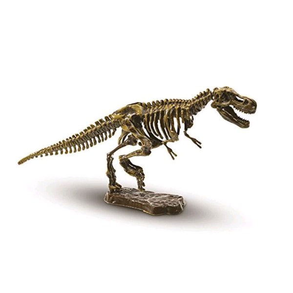 Recherche ton Tyrannosaure - Explore - SES Creative-25028