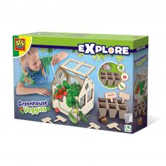 Explore box: Vegetable greenhouse