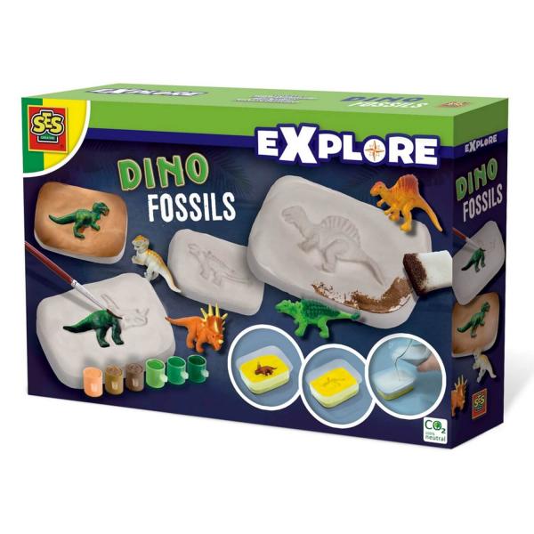 Cuadro de exploración: Fósiles de dinosaurios - SES Creative-25077