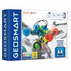 GeoSmart : Flip Bot