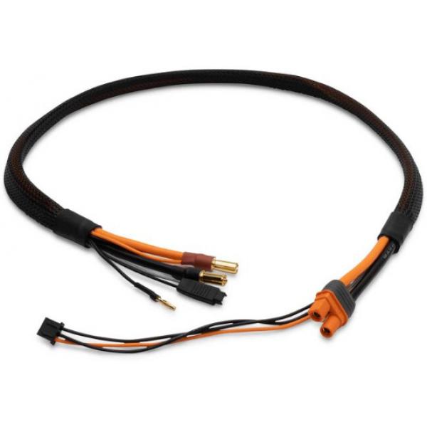 Spektrum Pro Series Race 2s Charge Cable : IC3/5mm 2' - SPMXCA329