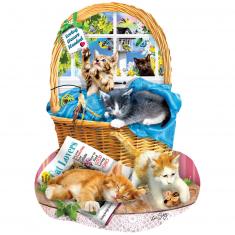 Puzzle shape 1000 pieces : Free Kitties