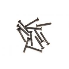 Vis taraudeuse 2x15mm (12pcs) T2M Pirate Booster