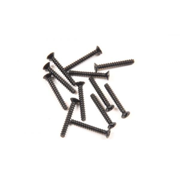 Vis taraudeuse 2x15mm (12pcs) T2M Pirate Booster - T2M-T4933/33