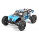 Miniature Buggy T2M Pirate Ripper 1/10e 4WD RTR