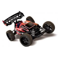 Buggy RC Pirate Thunder 1/10e T2M