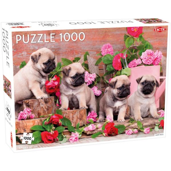 Puzzle de 1000 piezas: Cachorros pugs - Tactic-58313