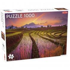 Puzzle 1000 pieces: Fields in Indonesia