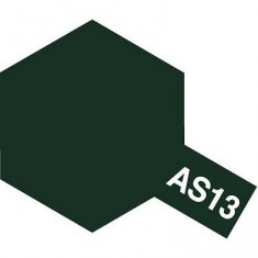 AS13 - Aerosol can - 90 ml: Green