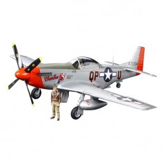 Flugzeugmodell: P-51D Mustang-Flugzeug