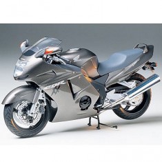 Motorcycle model: Honda CBR 1100 XX Super Blackbird