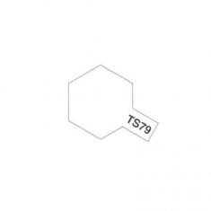 Ts79 - Aerosoldose - 100 ml: Satinlack