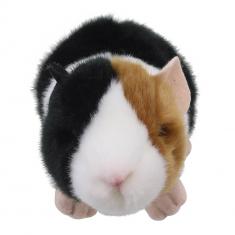 Minis - Guinea Pig