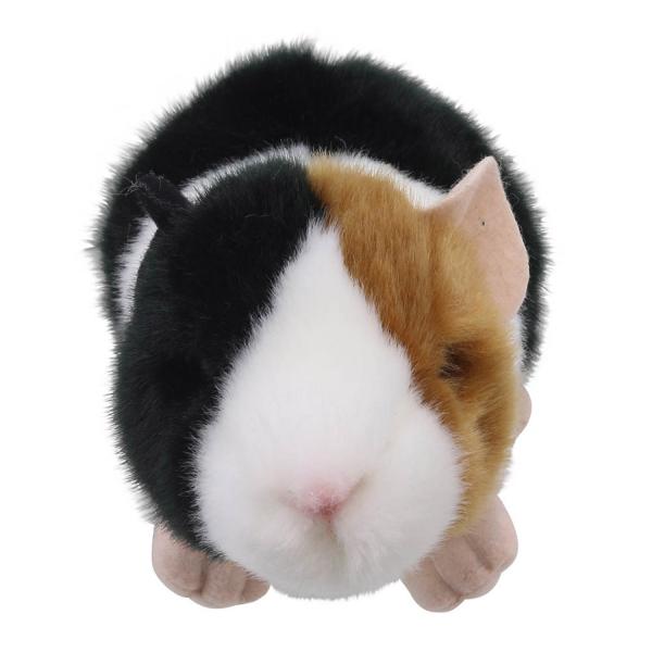 Minis - Guinea Pig - PuppetCompany-2173770