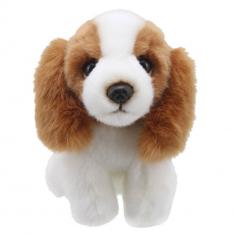 Minis - King Charles Spaniel