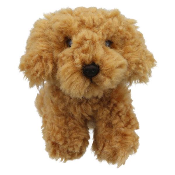 Minis - Cockapoo - PuppetCompany-2173767