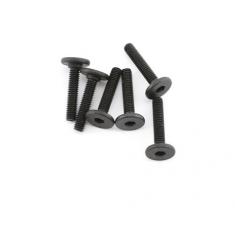 Vis Btr Tete Plate Large 3X15Mm (6)