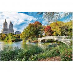 1500 piece puzzle: Unlimited Fit Technology : Charming Central Park, New York