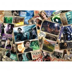 Puzzle 2000 pièces : Harry Potter : Personnages