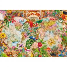 Puzzle 1000 piezas Premium Plus : Mapa del Mundo Antiguo