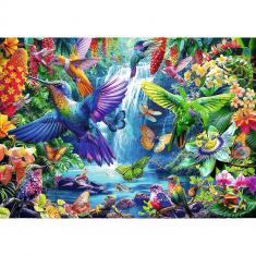 1000 piece puzzle: Tropical Hummingbirds