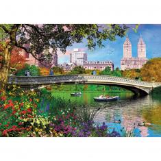 Puzzle 1000 pièces : Central Park, New York, Dominic Davison