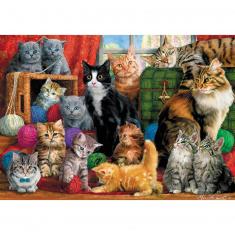 1000 pieces puzzle : Feline meeting