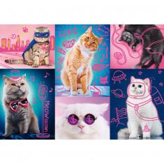 Puzzle 1000 pièces : Neon Color Line : Super chats