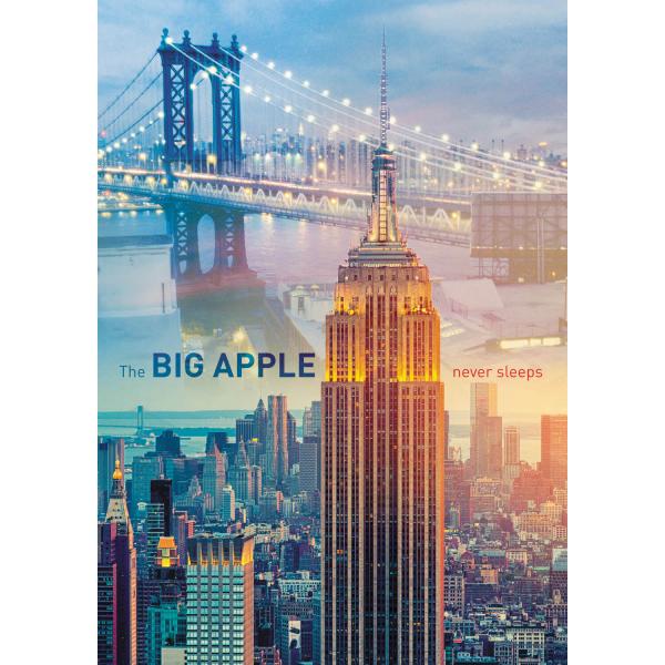 1000 pieces puzzle : New York at dawn - Trefl-10393