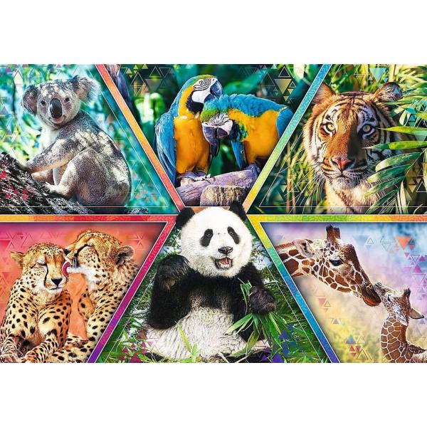 1000 piece puzzle : Animal Planet : Animal Kingdom - Trefl-10672