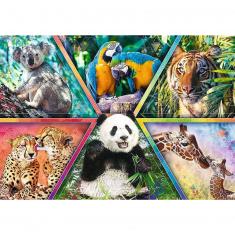 Puzzle de 1000 piezas : Animal Planet : Reino Animal