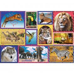 Puzzle de 1000 piezas : Animal Planet : Naturaleza salvaje