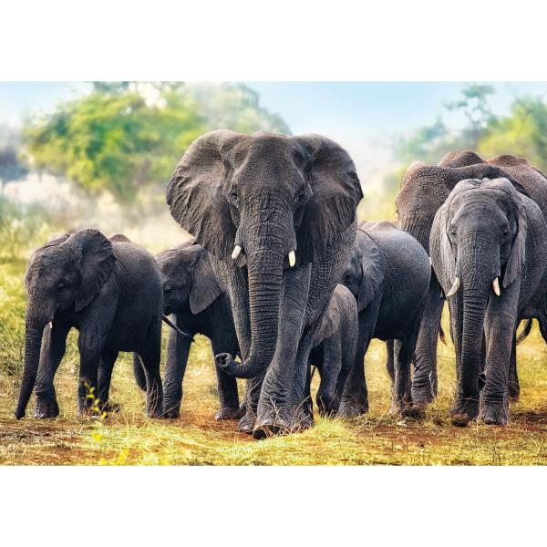 1000 pieces puzzle : African elephants - Trefl-10442