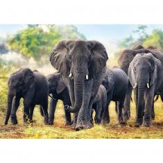 Puzzle 1000 pièces : Éléphants d'Afrique