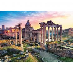 1000 pieces puzzle : Roman forum