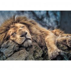 Puzzle 1000 pièces : Lion endormi