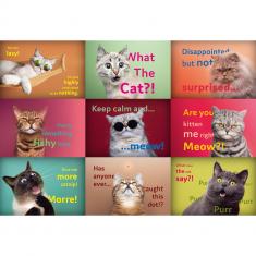 Puzzle 1500 pièces : Visages de chats rigolos