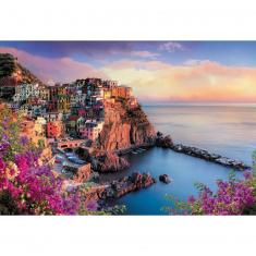 1500 pieces puzzle : View of Manarola