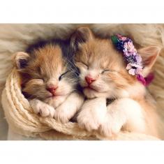 500 piece puzzle : Sleeping kittens