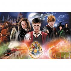 300 pieces puzzle : The Secret Harry Potter, Warner