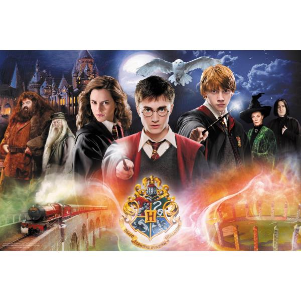 Puzzle mit 300 Teilen: Das Geheimnis von Harry Potter, Warner - Trefl-23001