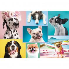 1500 pieces puzzle : Cute dogs