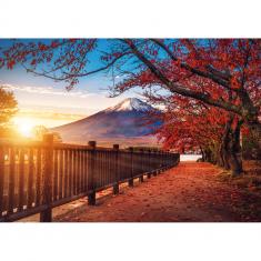 Puzzle 1000 pièces : Photo Odyssée : Mont Fuji , Japon