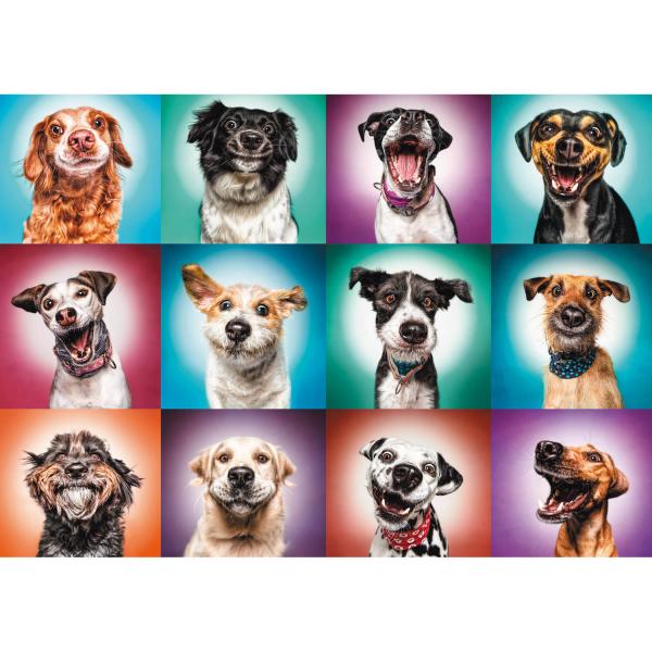2000 pieces puzzle : Funny dog portraits - Trefl-27119